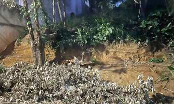 Imagem 4: VENDO TERRENO NA FREGUESIA