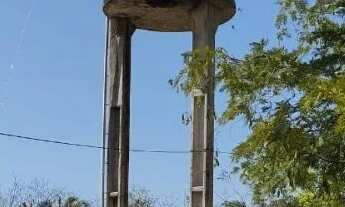 Imagem 5: Fazenda zona rural 37 km do joquei club