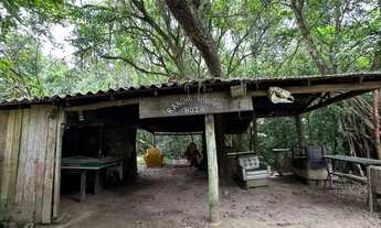 Imagem 6: Sítio em Gravataí com casa- parada 86