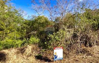 Imagem: TERRENO LOTE 03 CENTRO