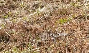 Imagem 3: Terreno à venda, 450 m² por R$ 550.000,00 - Maravista - Niterói/RJ