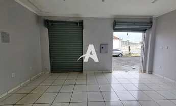 Imagem 3: Aluguel Comodo PRESIDENTE ROOSEVELT