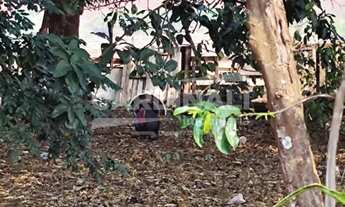 Imagem 7: Terreno com boa localização, plano, pronto para construir