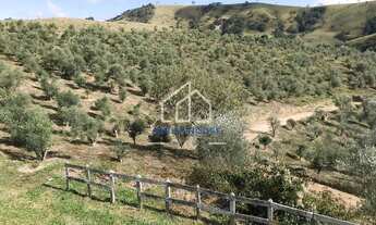 Imagem 5: Sítio à venda, Estrada do Pinhal Novo em Lorena, com uma área de 19,7 Hectares