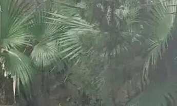 Imagem 5: Apartamento em Alameda Paulo Gonçalves - Ilha Porchat - São Vicente/SP