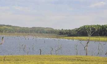 Imagem 3: IMPERDIVELArea em Ascenção Turística -Lago Manso