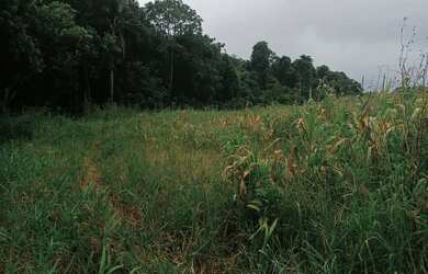 Imagem 4: Lotes de 500 m² a 1.000 m² em Ibiúna-SP para investir com segurança