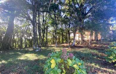 Imagem 5: Lote em condomínio em Av Borges de Medeiros - Mato Queimado - Gramado/RS