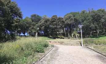 Imagem 4: CAXIAS DO SUL - Terreno Padrão - LINHA 40