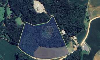 Imagem: Chácara Alba Um Refúgio Natural com Potencial