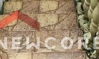 Imagem 9: Casa em Rua Quaresmeira - Alto das Flores - Betim/MG