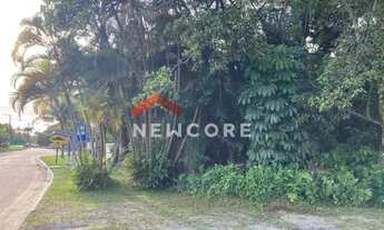 Imagem 6: Lote em Alameda São Caetano - Boracéia - São Sebastião/SP