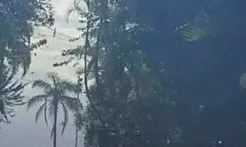 Imagem 3: Apartamento em Alameda Paulo Gonçalves - Ilha Porchat - São Vicente/SP