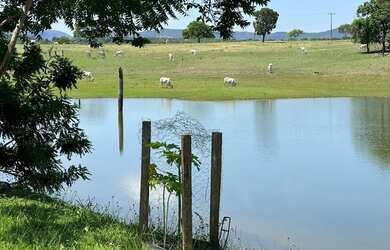 Imagem 6: Fazenda de 100 alqueires em Araguapaz-GO