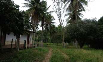 Imagem 2: Fazenda De Gado, 1100 Ha, C/ Cachoeira, Munic. Itapetinga-ba