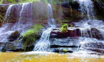 Imagem: Fazenda De Gado, 1100 Ha, C/ Cachoeira