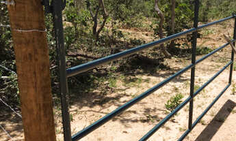 Imagem 7: Lotes de 1.000 metros 100% plano Melhor Preço