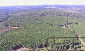 Imagem 3: Aceita permuta! Fazenda / sítio com venda por R$37.000.000