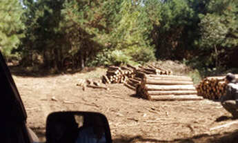 Imagem 7: Aceita permuta! Fazenda / sítio com venda por R$37.000.000