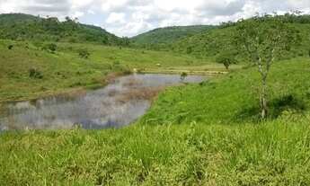 Imagem: R$ 7.172.000,00 Fazenda em Mundo Novo !!!