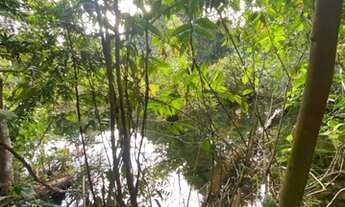 Imagem 4: Chácara de 4.7 hectares. 23 km de Campo Grande