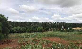 Imagem 2: Lote/Terreno para venda com 480 metros quadrados com 1 quarto em Araçá - Linhares - ES