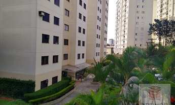 Imagem: São Paulo - Apartamento Padrão - Butantã