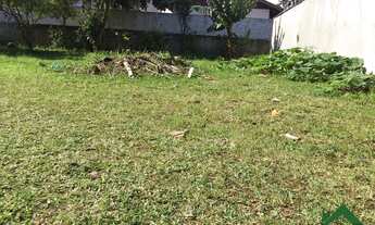 Imagem 4: TERRENOFLORIANÓPOLIS