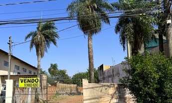 Imagem 2: Vendo terreno perto da Av Cel Antonino