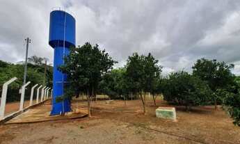 Imagem 4: Excelente chácara a venda a 4 kM do centro de Alexania