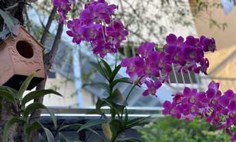 Imagem 6: Aluguel de kitnet com mobília