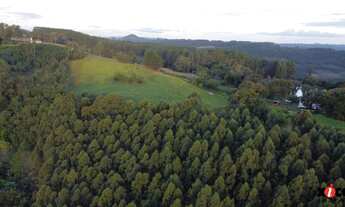 Imagem 3: Sítio / Chácara para Venda em Nova Petrópolis, São Jacó