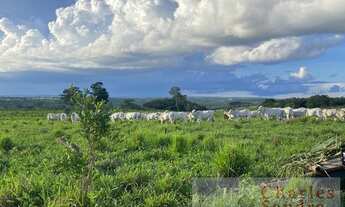 Imagem 2: Fazenda para Venda em General Carneiro, Zona Rural, 2 dormitórios, 1 banheiro, 1 vaga