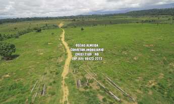 Imagem 3: 215 alqueires em Machadinho-RO