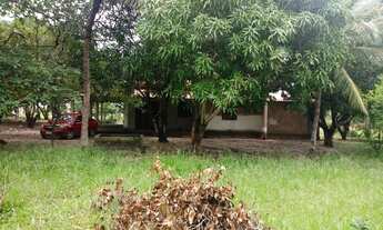 Imagem 7: Oportunidade de Sitio no Laranjal!