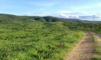 Imagem 4: Fazenda com 150 hectares em cachoeira do sapo na BR.304
