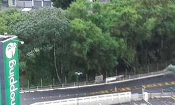 Imagem 3: Apartamento 2 quartos com dependência completa na freguesia ( aluguel / Locação