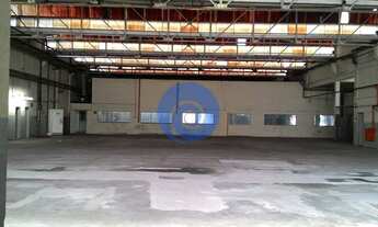 Imagem 7: Galpão no Jardim Pereira Leite - São Paulo, SP