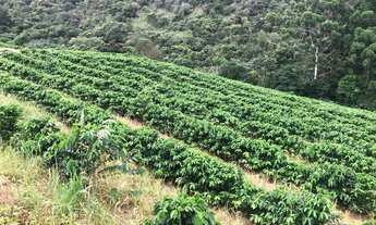 Imagem 2: Imóvel rural Chácara com venda por R$900.000