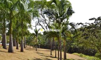 Imagem 6: Terreno a venda no condomínio Borda da Mata. Bairro Jardim Olhos D´ Água