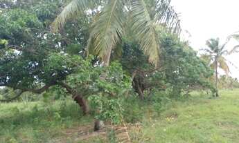 Imagem: Sítio/granja/chácara/fazenda com 8,8 há