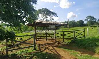 Imagem 2: Chácara em Avelinópolis