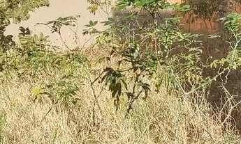 Imagem 3: Vendo ou troco por outro imóvel no jardim Roriz qd 1 a3,vila militar,ou vila de Fátima