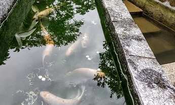 Imagem 4: Casa à venda, 3 quartos, sendo 1 suíte, Bairro Ilha da Figueira, Jaraguá do Sul/ SC