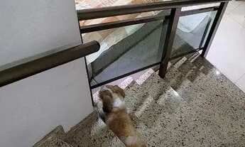 Imagem 2: Casa com 3 dorms, Parque Bitaru, São Vicente - R$ 399 mil, Cod: 118