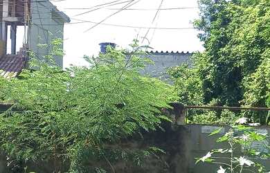 Imagem 2: Terrenos Vilar dos Teles Av Automóvel Club