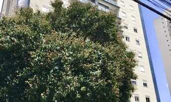 Imagem 3: Apartamento - Vila Itapura - Campinas