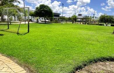 Imagem 6: Reserva Aimoré - lote com 420 m