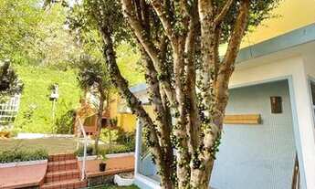 Imagem 6: Casa 3 dormitórios com uma 1 suite, 2 banheiros, terraço, bem iluminada. Próxima ao Shoppi