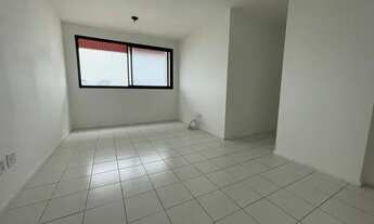 Imagem 2: Terra Brasilis* - Oportunidade